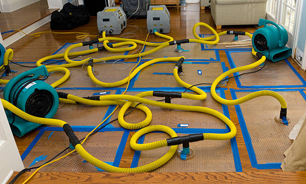 Professional Water Damage Repair technician working in Hopewell, OH